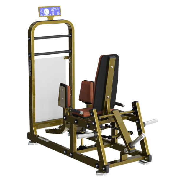 Maszyna na odwodziciele siedząc wolny ciężar LD-2009