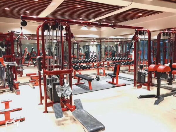 Shandong-Lide-Fitness-Co-Ltd-(633)