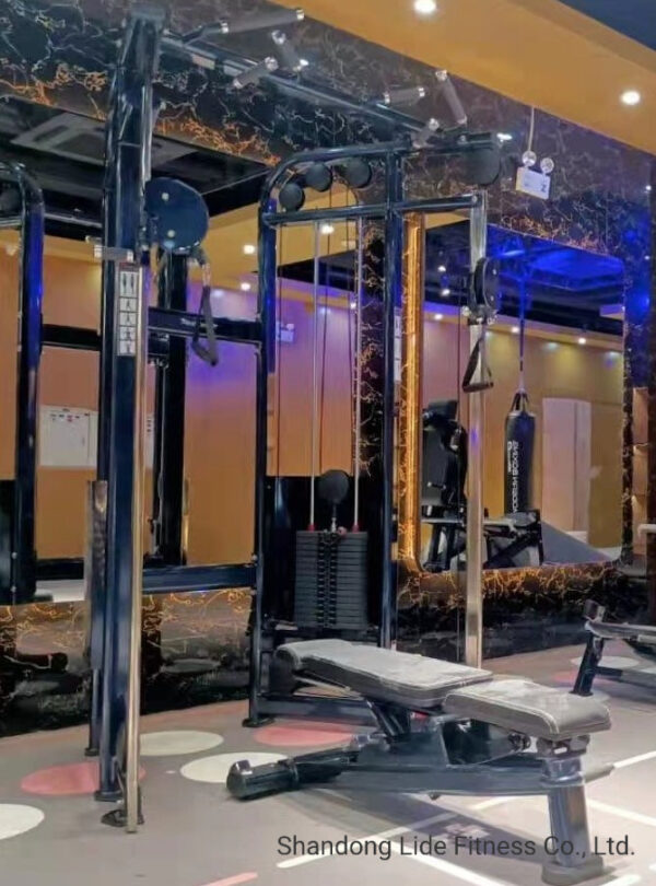 Shandong-Lide-Fitness-Co-Ltd-(703)