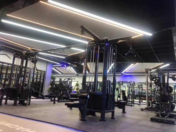 Shandong-Lide-Fitness-Co-Ltd-(883)