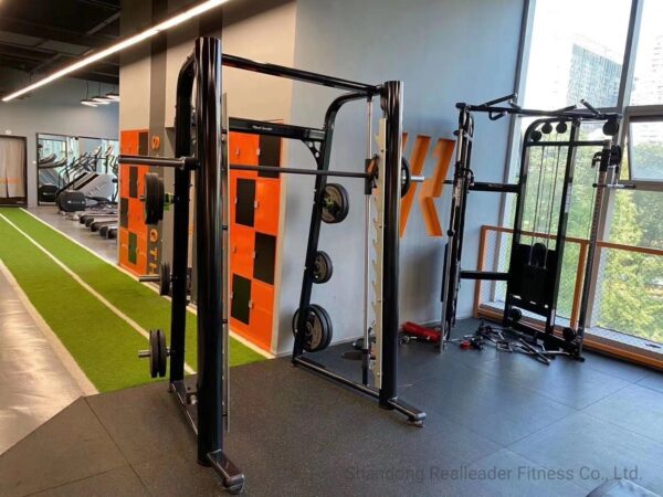 Shandong-Realleader-Fitness-Co-Ltd-(1674) (1)