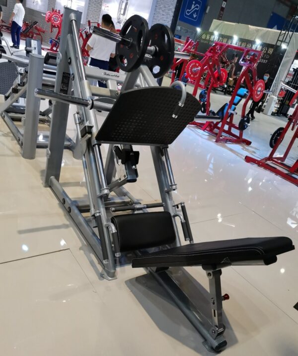 Shandong-Realleader-Fitness-Co-Ltd-(2153) (1)