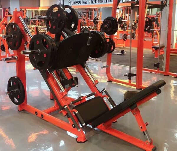 Shandong-Realleader-Fitness-Co-Ltd-(252)