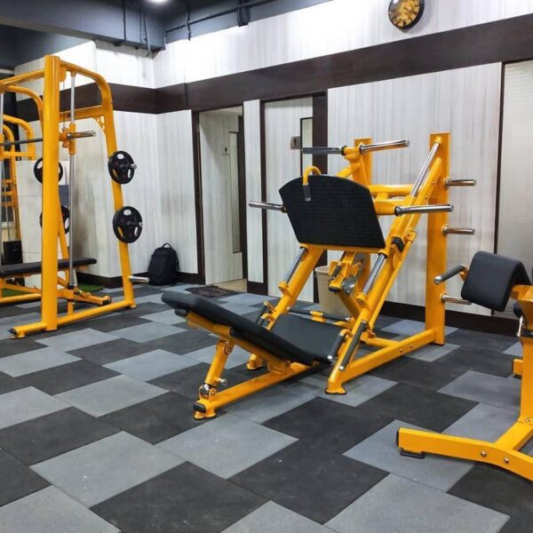 Shandong-Realleader-Fitness-Co-Ltd-(384)