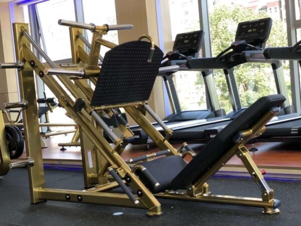 Shandong-Realleader-Fitness-Co-Ltd-(4104)